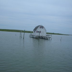 Tangier's Island