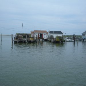 Tangier's Island