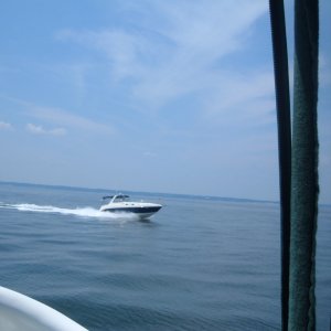 Chesapeake Bay