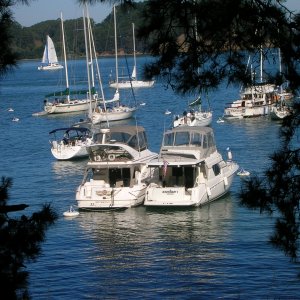 Angel_Island_ca