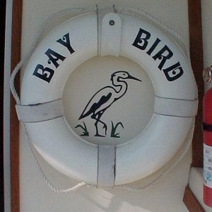 Bay Bird