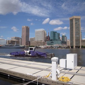 Trash Scooper in Baltimore IH