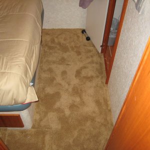 Silverton 372 Carpeting
