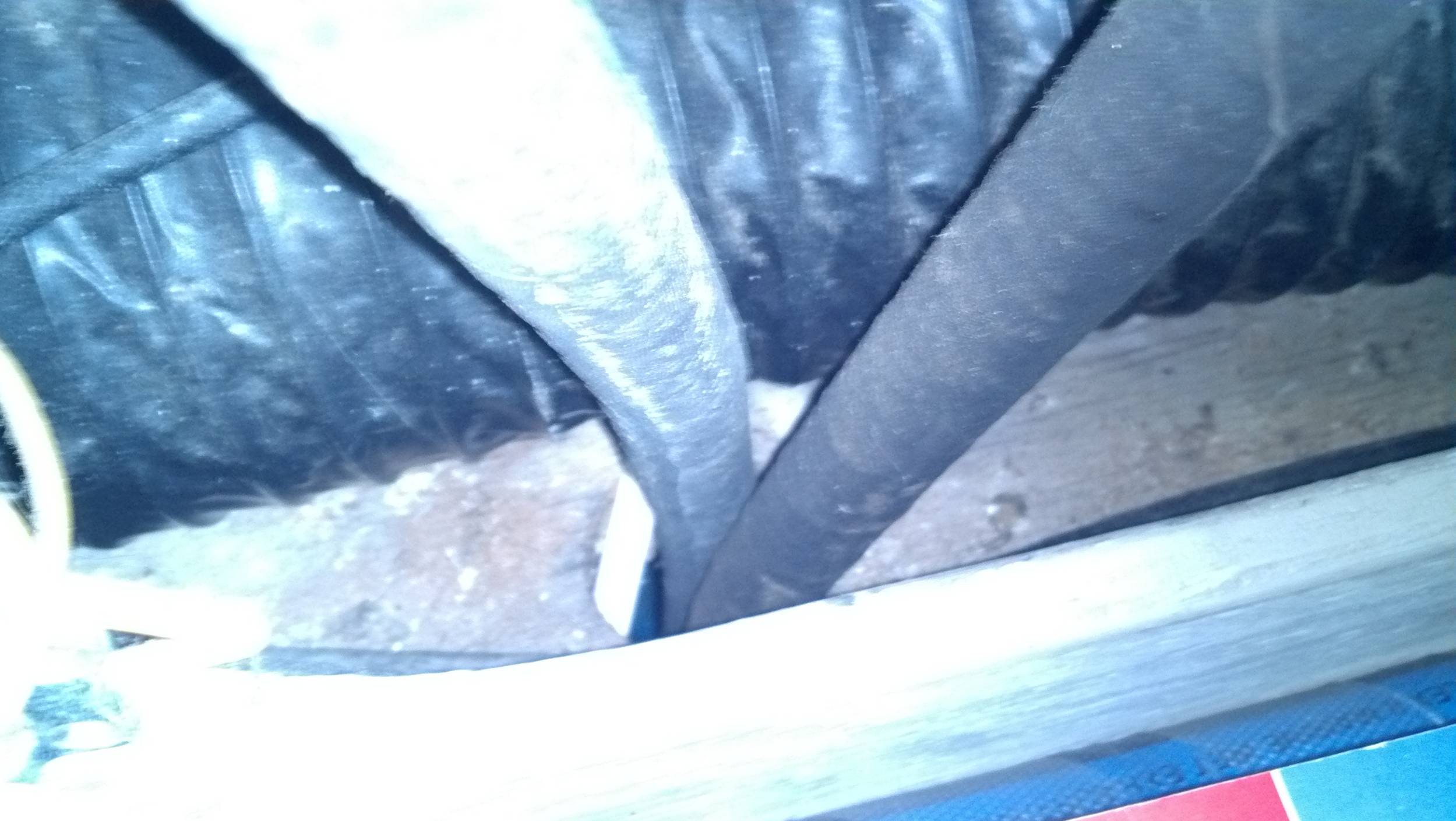 2011-07-30_10-24-52_454