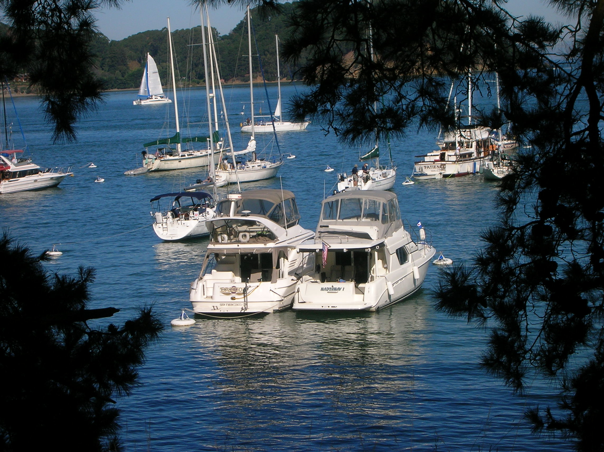 Angel_Island_ca