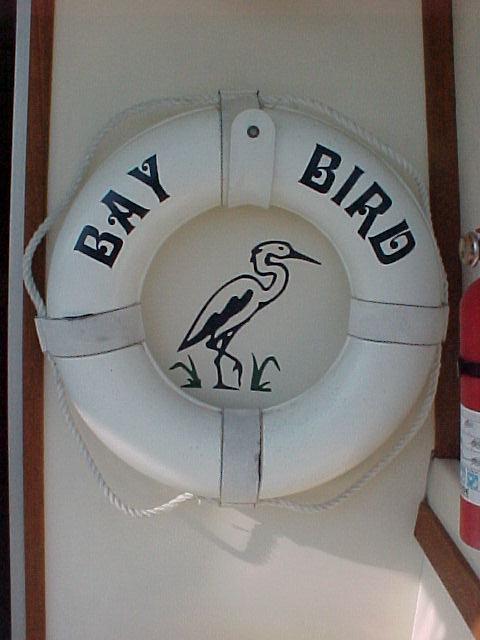 Bay Bird